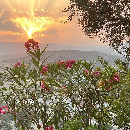 Endless Sunset Βίλα Πεντάκωμο Εξωτερικό φωτογραφία